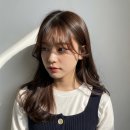 이철헤어커커범계점 네이버블로그