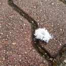 손양초등학교 이미지