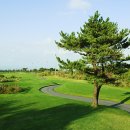 봉개프라자CC 이미지