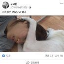 소정아 지금 7월이야