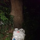 주당풀이 이미지