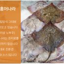 홍어나라 - 하남시 수리북로 16 | 홍어나라
