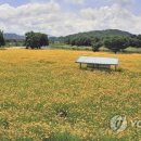 경천 이미지
