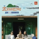 효리네 민박 이미지