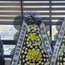 조앤조연합치과의원 이미지