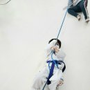 용인대 탑 태권도장 이미지