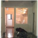 쁘띠 애견 이미지