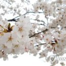 봄날세탁 이미지