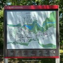 북부도서관 앞 | 미국 아이비리그 투어 코넬대학교 웰컴센터 미술관 도서관 구경