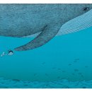 바다그리다 이미지