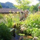 야생화단지내 이미지