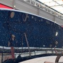 워시랩셀프세차타운 이미지