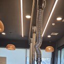 오리농장 이미지