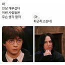 제뉴어리 이미지