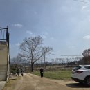 하네뜨 | 포천신상카페 하네뜨 치즈, 직접 만든 치즈와 유제품 내돈내산 후기