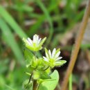 마곡사 가는길 민박 | “춘마곡”에서 만난 하루! 시도제와 함께한 트레킹!-"마곡사 솔바람길 &amp; 외암민속마을"