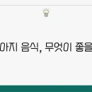 우리강아지 이미지