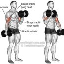 두잇핏PT 이미지