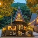 별을 담은 숲 | 별을 담은 숲 가족과 함께한 캠핑의 진수