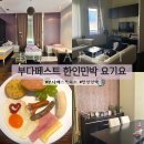 요기 | 친척집 감성 헝가리 부다페스트 한인민박 요기요 후기 내돈내산
