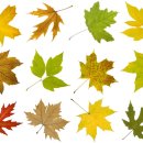 강화군산림조합 이미지