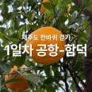 오현고등학교 | [제주도보여행/제주도한바퀴걷기] 1일차 공항-함덕 25.87km