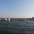 장고항3리 이미지