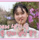 [6시 내고향 대구] 선비의 고장, 정도전을 담다! 영주선비마을에서 생긴 일~ | KBS대구 230424 이미지