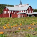 바다로가자 이미지