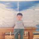 수문농장 이미지