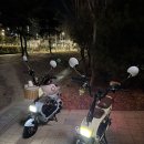 미루고 미루던 2025년 1월.. 근데 이제 국가고시 후기를 곁들인..
