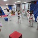 올림피아 태권도장 이미지