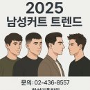2025년 남성커트 트렌드 총정리｜요즘 뜨는 남자헤어스타일 BEST 5