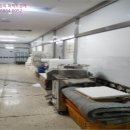 하단동1161 이미지