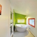 반도스파인 이미지