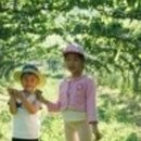 누렁이농장 이미지