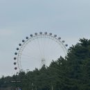 속초 여행 | 금이야 옥이야, 보사노바커피 로스터스, 영랑호, 중앙시장, 알찬생선구이