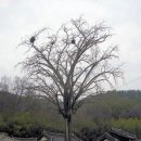 어계고택 이미지