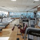 팔레드시즈 네이버블로그