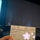 다시 만난 보허자 늦은 후기 이미지