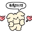 까사미단