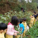 가경초교 병설유치원 이미지