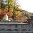 금남중학교 이미지