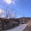 스테이, 흥업 | 원주 겨울 드라이브 데이트 코스, 특색 있는 조용한 사색의 공간들(제미나이 추천 - 터득골 북샵, 와인...