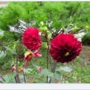 수남초등학교 이미지