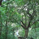 성산읍 고성리 352-4 | [제주] 6월 제주 뚜벅이 3박 4일 여행🍊효도를 살짝 곁들인..ㅎ