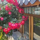 욱이네민박 이미지