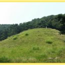 청송심씨 묘역靑松沈氏 墓域 이미지