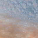 닥터워치 이미지