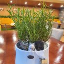 강화식물병원 이미지